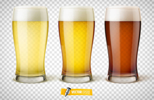 ilustraciones, imágenes clip art, dibujos animados e iconos de stock de vector gafas realistas de cerveza - beer backgrounds alcohol glass