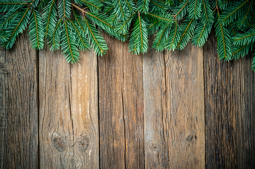 Christmas background of fir tree on rustic wood copy space with real natural fir branches