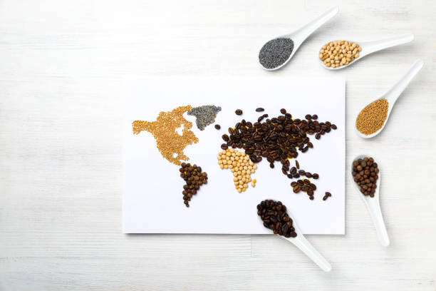 istock Map of world made from different cooking ingredients 1428278149