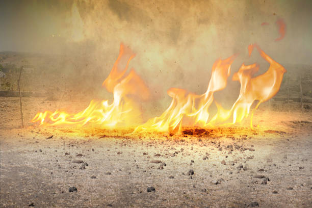 istock Fires with sparks and hot smoke 1428282112