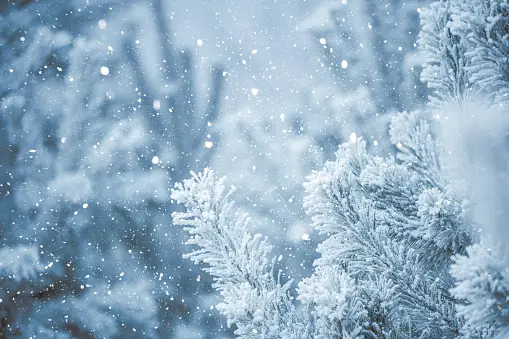 Winter Wallpapers: Free HD Download [500+ HQ]