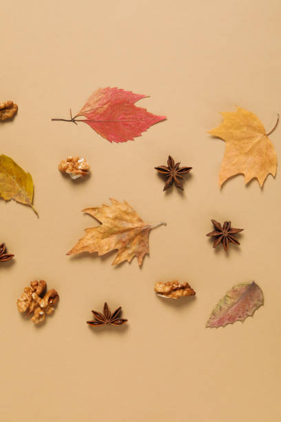 istock Concept of Autumn, Autumn composition accessories on beige background 1428283331