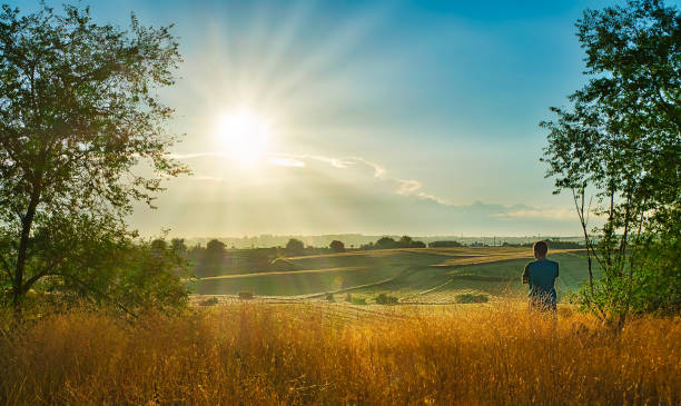 istock Sunrise in the countryside. 1428283938