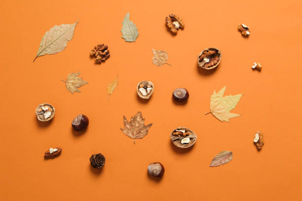 istock Concept of Autumn, Autumn composition accessories, top view 1428284020