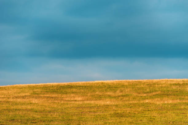 istock Grass meadow with dark overcast sky in background 1428285089