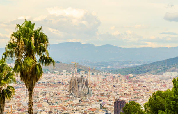 View over Barcelona with Sagrada Família and palm trees stock photo
