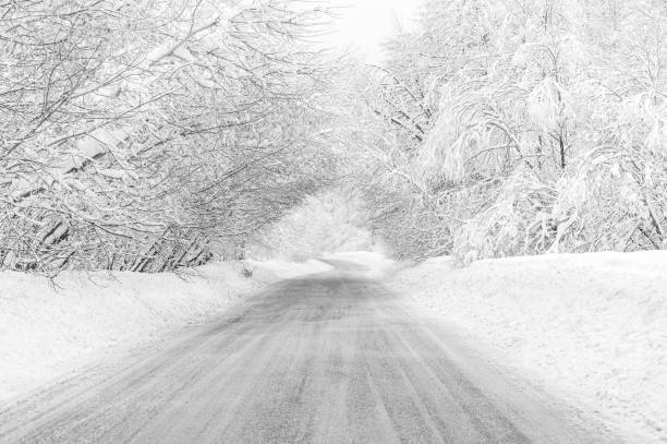 istock Road trip concept. Winter road in snowy forest. Daytime. 1428287463