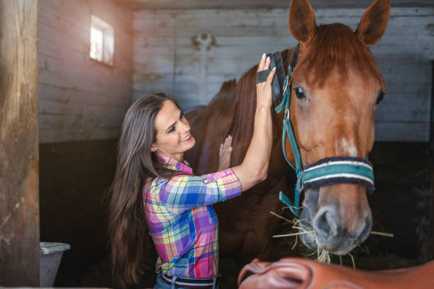 istock Woman brushes her horse in stables 1428289522