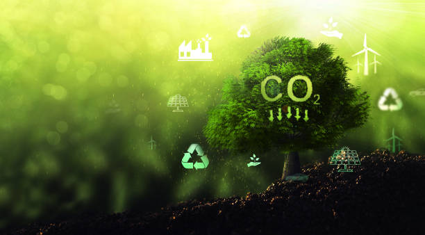 istock Clean and friendly environment without carbon dioxide emissions.Reduce CO2 emission concept.Sustainable development and green business based on renewable energy. 1428289589
