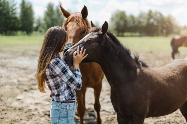 istock Young woman standing with her horses in field 1428290074