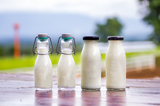 Glass and bottle of fresh milk on wooden \ntable with green meadow and mornig light background.