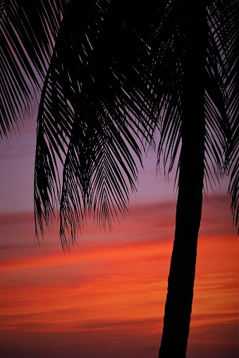 Sunset at Isla Mujeres, Quintana Roo, Mexico