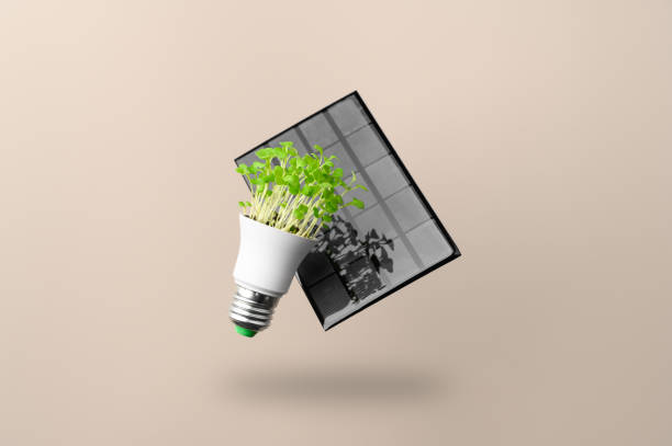 Solar panel and energy saving led lamp, made with green grass flying over beige background. Ecology and Green energy concept. Eco-friendly, green power. stock photo