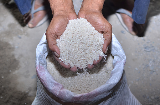 Human hand with rice grains