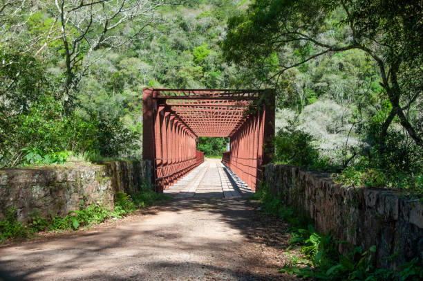 istock view of korff bridge with forest in background 1428307427