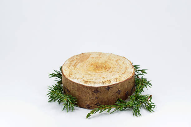 Wooden cut platform and juniper twigs on a white background Wooden cut platform and juniper twigs on a white background. Empty natural exhibition podium for product presentation juniper tree bark tree textured stock pictures, royalty-free photos & images