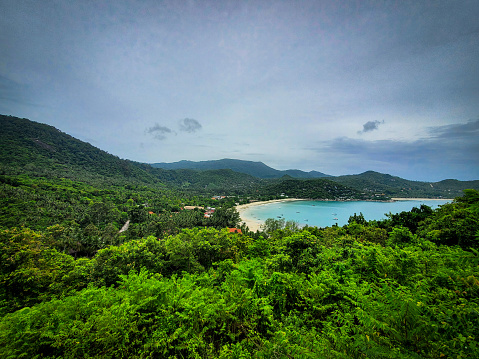 view of water bay that's surrounded by rainforest and mountain range