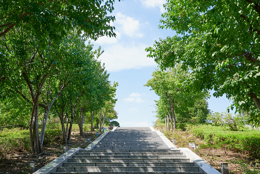 Stone stairs with trees on both sides and blue sky