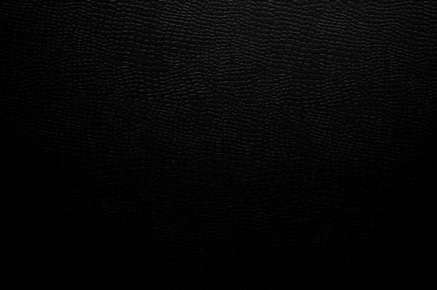 Animals leather background, closeup skin texture