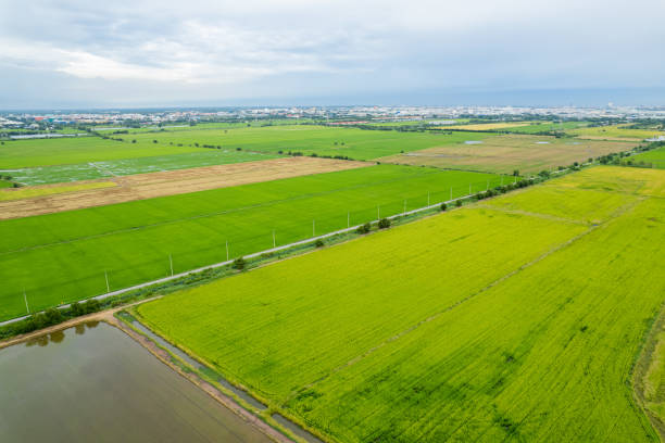 istock high angle view of farm, grow plants, nice landscape 1428321659