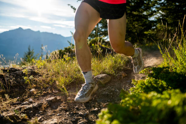 istock Cropped view of male trail runner on mountain path 1428332522