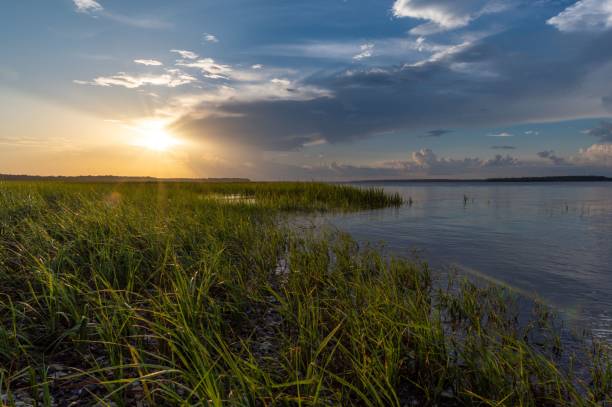istock Beautiful sunset in the Low Country 1428336990