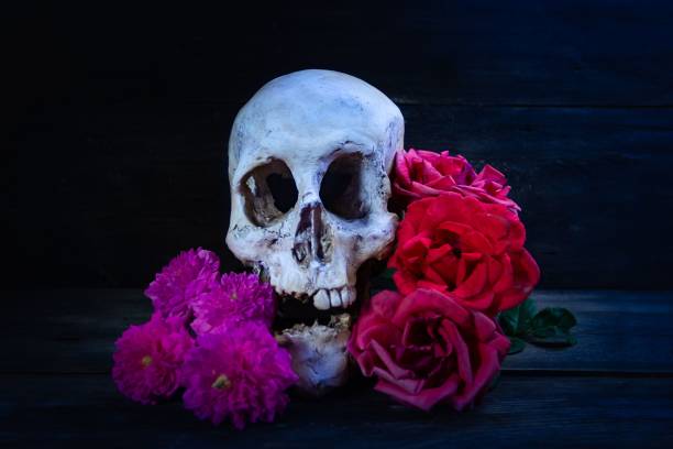istock human skull with roses for day of the dead 1428337020