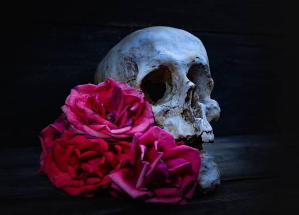 istock human skull with roses for day of the dead 1428337039