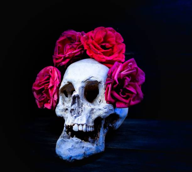 istock human skull with roses for day of the dead 1428337042