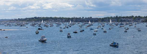 istock Boats at anchor in harbor 1428337340