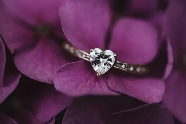 Silver Diamond Ring On A Purple Hydrangea Flower