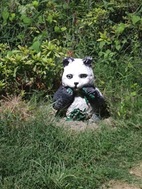 istock Panda buildings in the community 1428338281