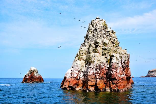 istock Scenery by the Ocean in Peru 1428338297