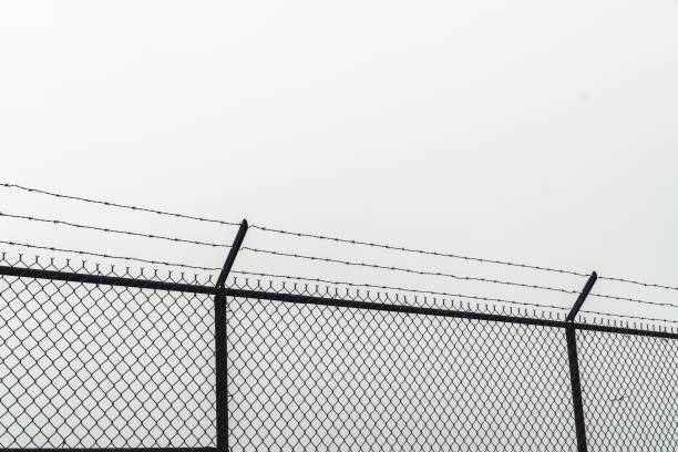 istock Barbed wire on a grid fence against the white sky 1428338682