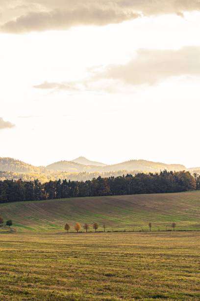 istock Colorful autumn countryside landscape. 1428338731