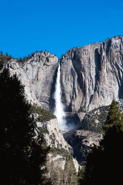 istock Vertical view of Yosemite falls under the blue sky on a sunny day 1428342923