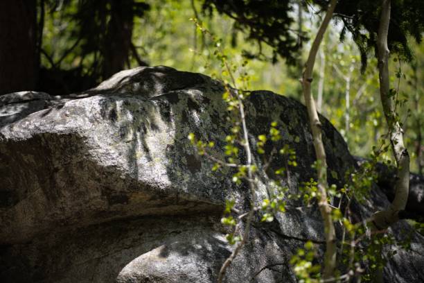 istock View of a rock surrounded by plants under the sunlight 1428343569
