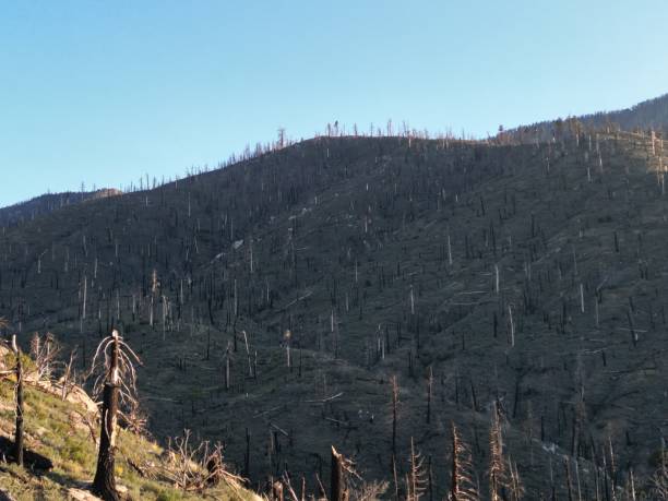 istock Scenic landscape in deforested mountains 1428350718