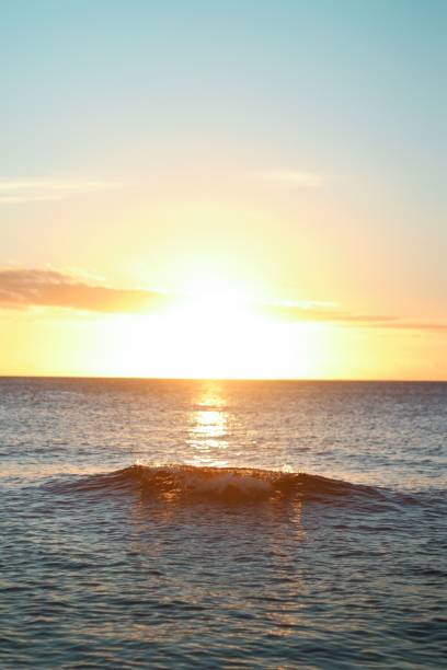 istock Vertical of a golden sunset over a wave in Hawaii. 1428350868