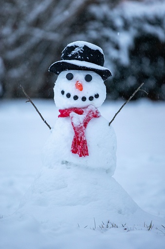 A vertical of a snowman with a hat and red scarf.