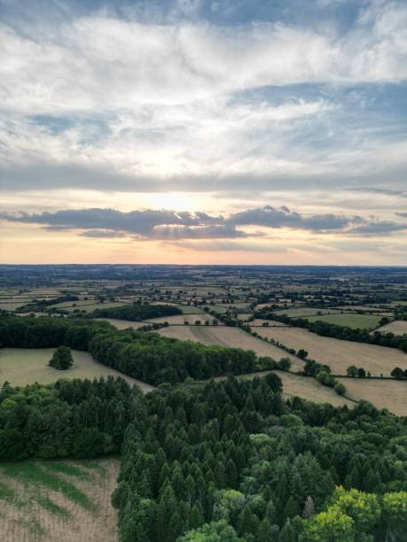 istock Vertical bird's-eye view of agricultural fields in the sunset 1428352286