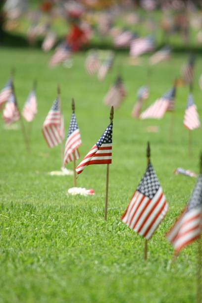istock Small flags of the USA in a field. 1428353764