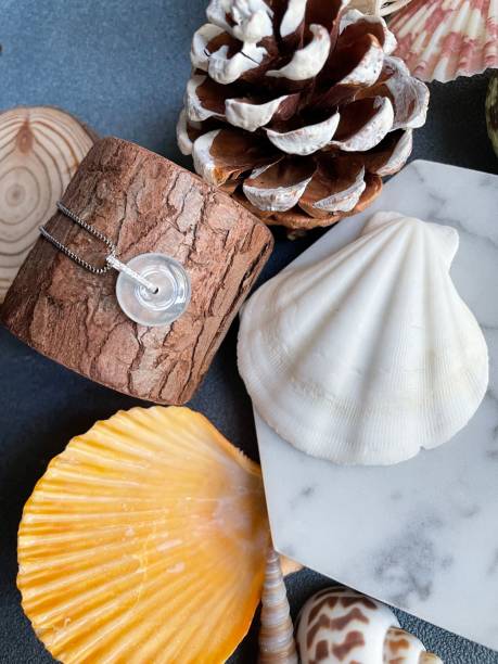 istock Collection of seashells and pine cones 1428354364
