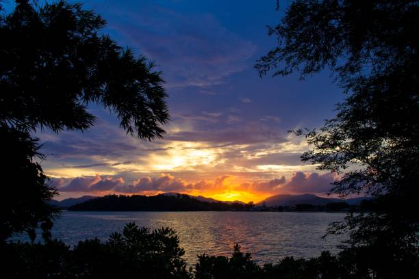 istock Beautiful lake seen through trees at the sunset 1428354950