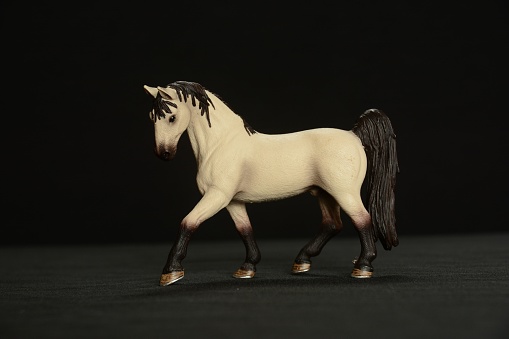 A horse toy on the black background