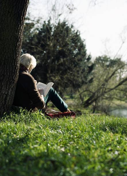 istock Person sitting under a tree and reading a book. 1428356388