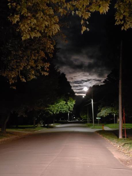 istock Asphalt road in the town between lush green trees under dark cloudy sky 1428357300