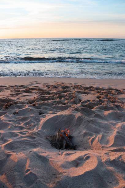 istock Vertical shot of a campfire on a sandy beach under dusk sky in Hawaii 1428358661