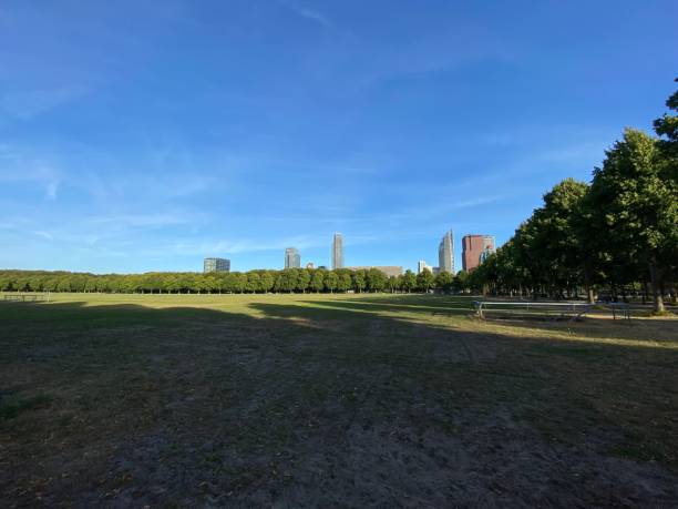 istock Wide green field with a tree shade 1428359167