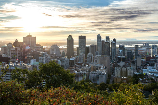 istock Montreal skyline from Mont Royal 1428359861